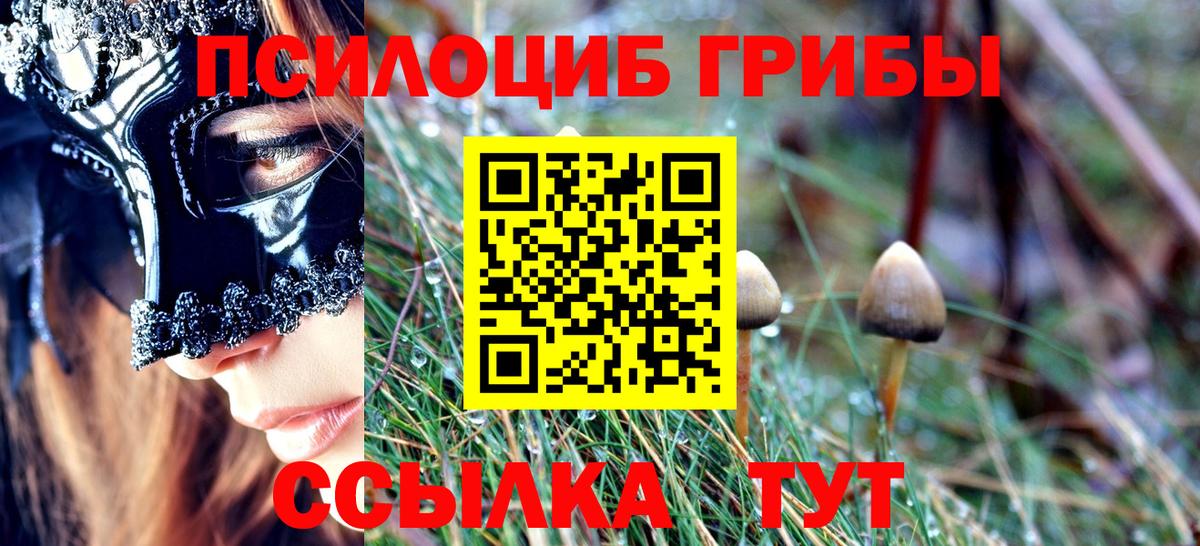 Псилоцибиновые грибы мицелий Нерюнгри