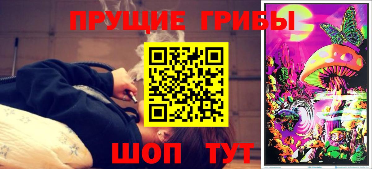 Нерюнгри  Псилоцибиновые грибы Cubensis  Вход с VPN 